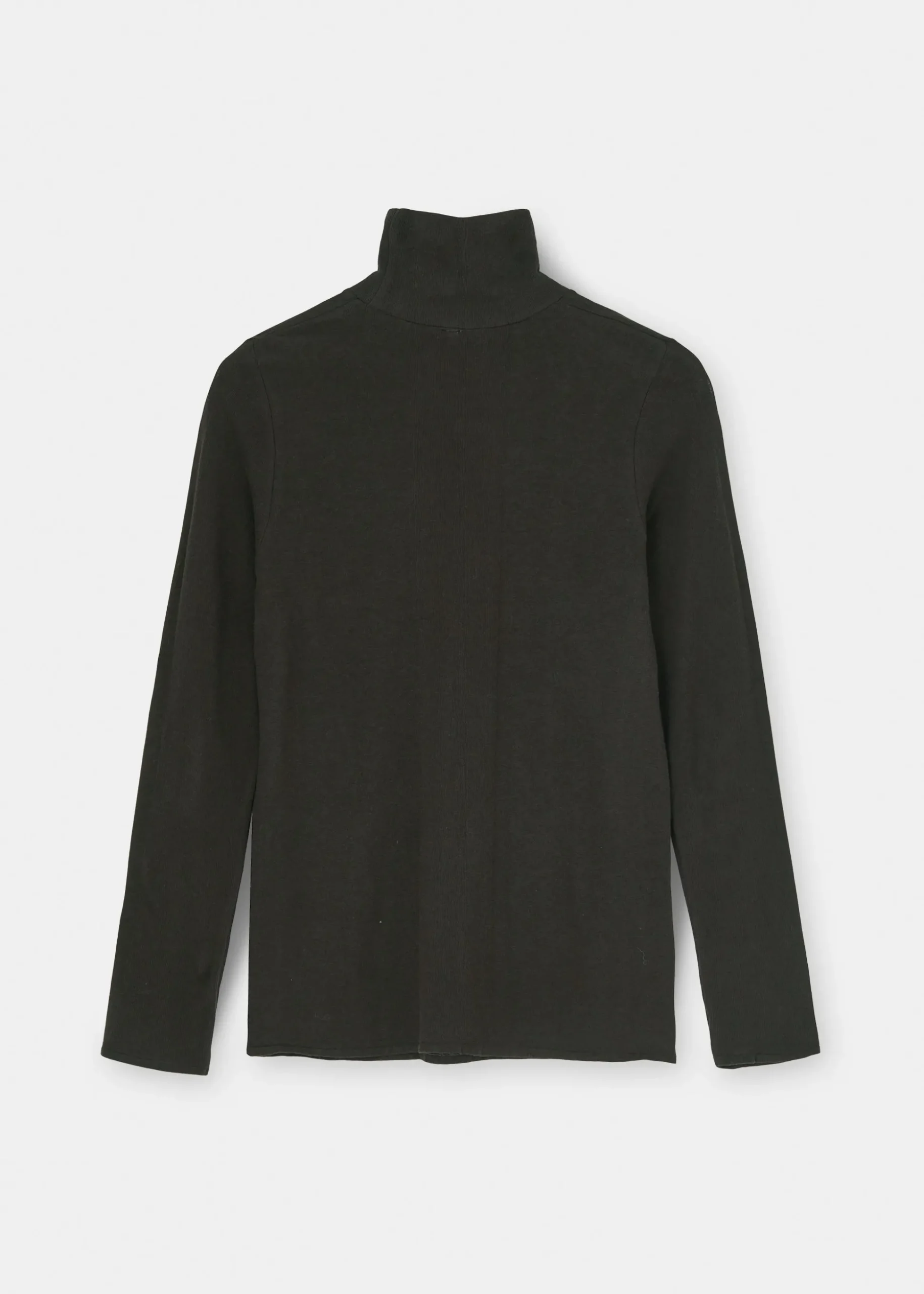 Gentle cashmere turtleneck